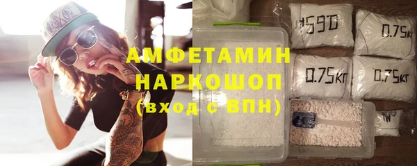 индика Абаза