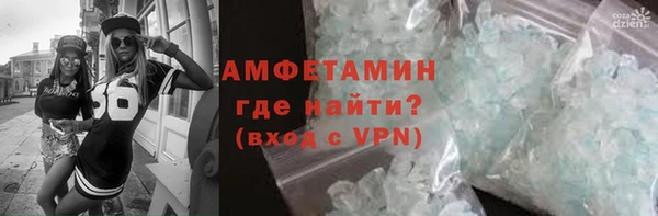 индика Абаза