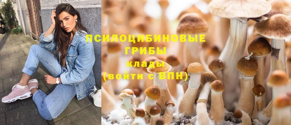 герыч Верея