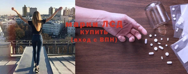 индика Абаза