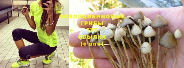 кокс Абинск