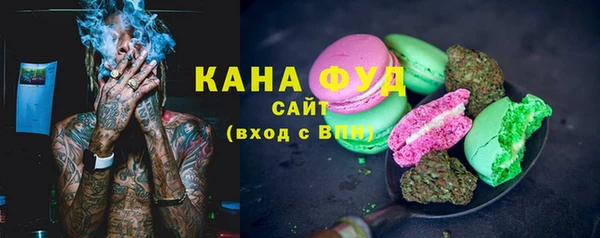 индика Абаза