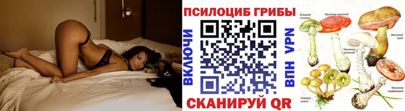 где найти Каневская Псилоцибиновые грибы мухоморы